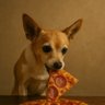 PDR's profile picture