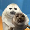 Profilbild von Alex