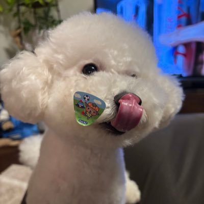 MaruRL_'s profile picture