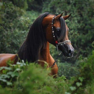 j____m____j's profile picture