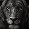 Фото профиля Jan du Toit Photo