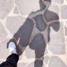 Lu's profile picture