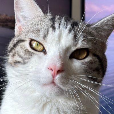 Dexter's profile picture