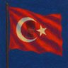 Burçin Erkut's profile picture
