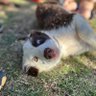 soymartin's profile picture