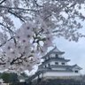 ゆず茶丸｢動脈硬化･お茶丸｣'s profile picture