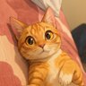 Profilbild von Aalcee