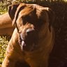 Social Distance's profile picture