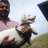 Rohan Arun profil fotoğrafı