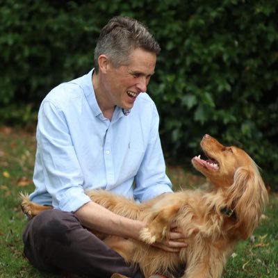GavinWilliamson's profile picture