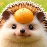 Profilbild von れん🇯🇵🍊