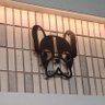LonelyTunes's profile picture