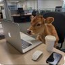 Đình Tâm La's profile picture