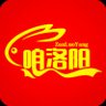 咱洛阳's profile picture