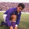 Il Divin Codino's profile picture
