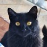 Profilbild von BLima