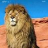 عبدالله المهرس🇾🇪 profil fotoğrafı
