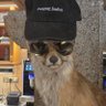 Profilbild von testtm