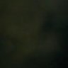 ------ profil fotoğrafı