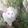 angy profil fotoğrafı