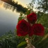 اندیشه profil fotoğrafı