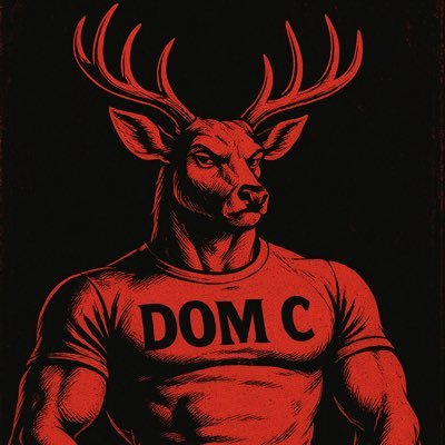 DomCzFeetndFun's profile picture