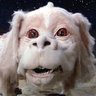 Falcor profil fotoğrafı