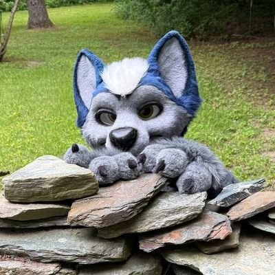 Reshkah's profile picture