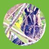 ゆー🦉 profil fotoğrafı