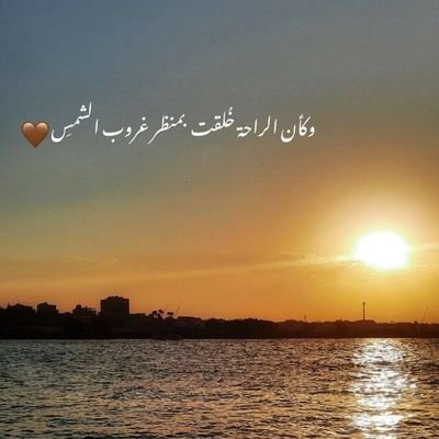 tuttifrutti8091's profile picture