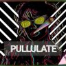 Profilbild von Pullulate