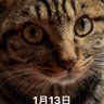 Profilbild von 康博