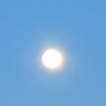桂花's profile picture
