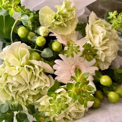 yukiusagi5195's profile picture