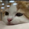 jo_q07 profil fotoğrafı