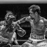 Фото профиля CBBoxing
