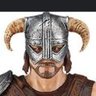 Profilbild von The Dovahkiin
