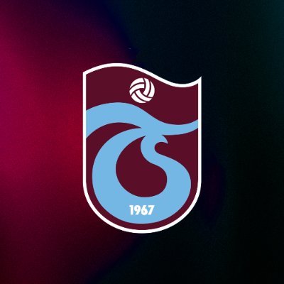TSBasketResmi's profile picture