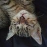 하루 profil fotoğrafı