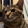 TAKUMA profil fotoğrafı