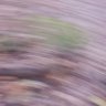 Saco na Lua's profile picture