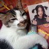 babu kumis's profile picture