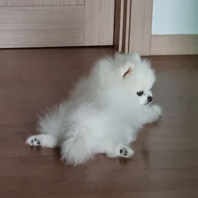 JEunhaengbog's profile picture