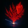 Фото профиля ملعقه بدون فلفل