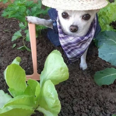 Farsyyyyy's profile picture