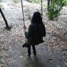 Umeed-e Nau profil fotoğrafı