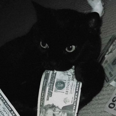 Jackson.'s profile picture