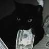 Profilbild von Jackson.