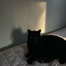 flowz's profile picture