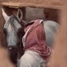 Profilbild von سلطان 🪐